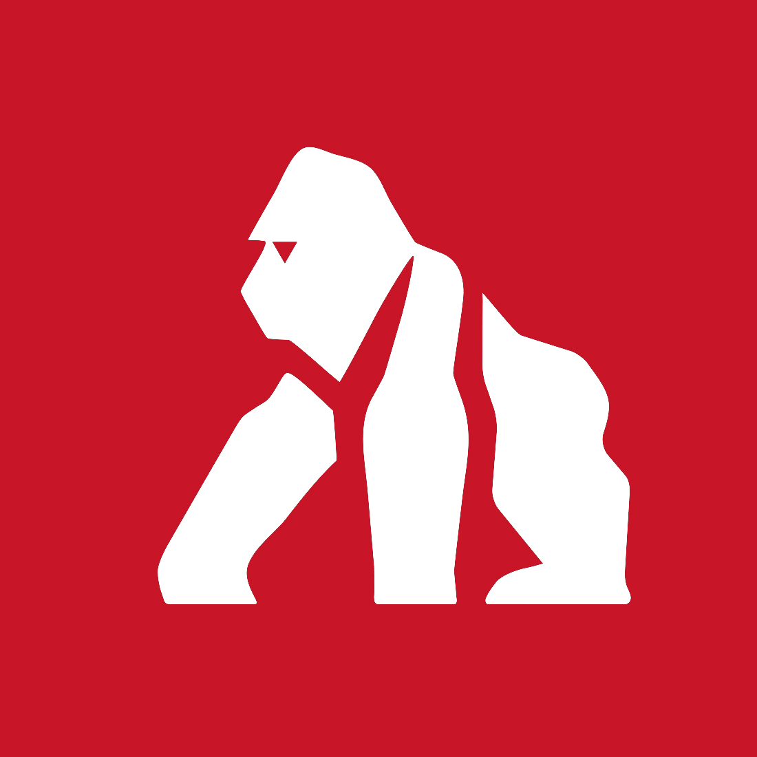 silverback logo